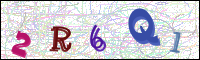 Image Verification