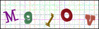 Image Verification