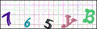 Image Verification