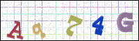 Image Verification